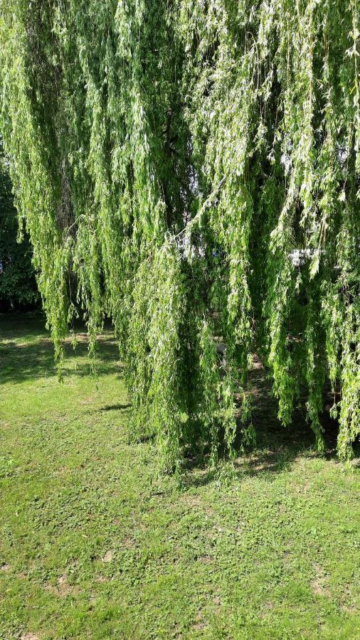 Le Pas Sage Bed & Breakfast La Caillere-Saint-Hilaire Bagian luar foto
